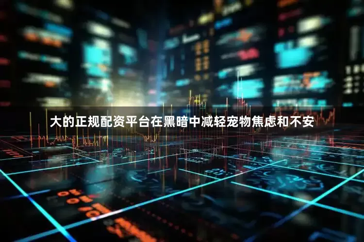 大的正规配资平台在黑暗中减轻宠物焦虑和不安