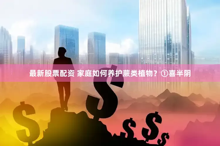 最新股票配资 家庭如何养护蕨类植物？①喜半阴