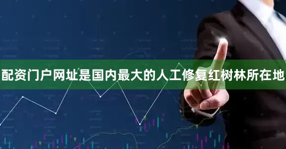 配资门户网址是国内最大的人工修复红树林所在地