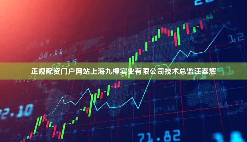 正规配资门户网站上海九橙实业有限公司技术总监汪奉辉