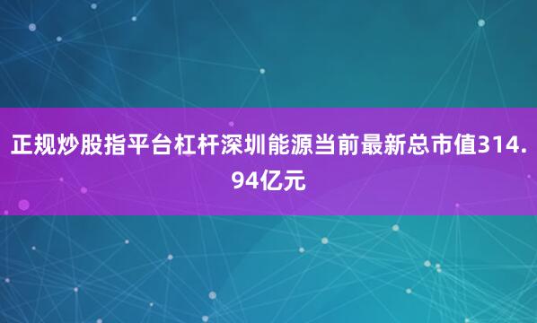 正规炒股指平台杠杆深圳能源当前最新总市值314.94亿元