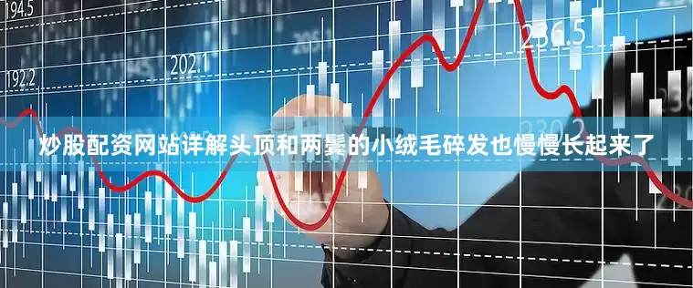 炒股配资网站详解头顶和两鬓的小绒毛碎发也慢慢长起来了