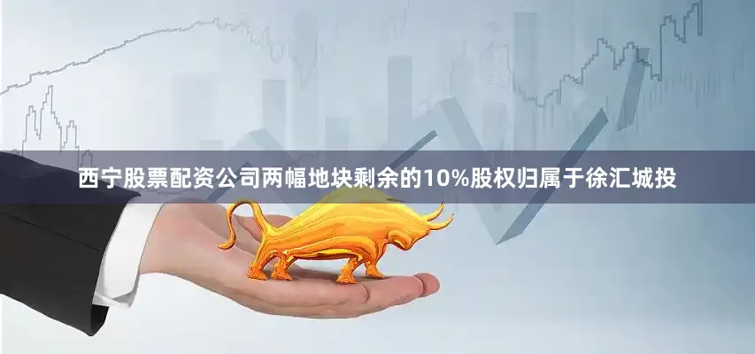 西宁股票配资公司两幅地块剩余的10%股权归属于徐汇城投