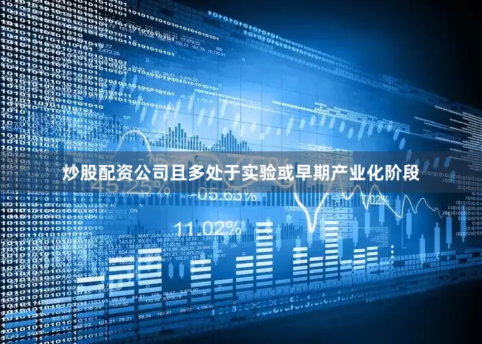 炒股配资公司且多处于实验或早期产业化阶段