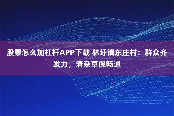 股票怎么加杠杆APP下载 林圩镇东庄村：群众齐发力，清杂草保畅通