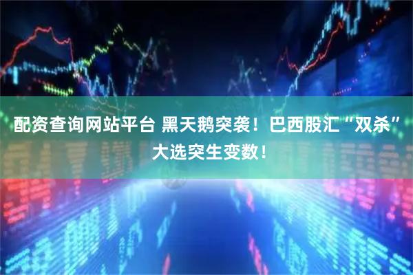 配资查询网站平台 黑天鹅突袭！巴西股汇“双杀” 大选突生变数！