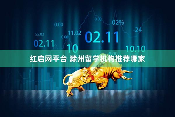 红启网平台 滁州留学机构推荐哪家