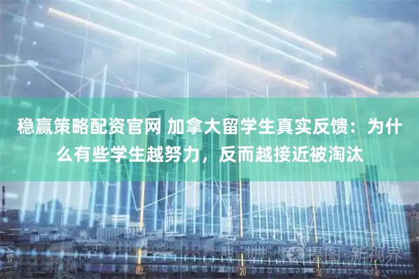 稳赢策略配资官网 加拿大留学生真实反馈：为什么有些学生越努力，反而越接近被淘汰